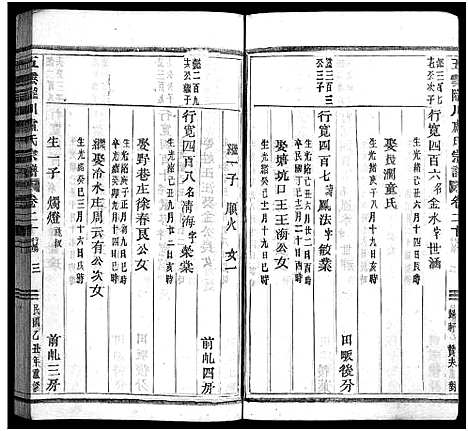 (卢氏家乘)浙江卢氏家乘_27卷_十九.pdf