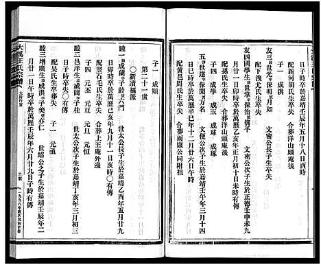 (鸿溪王氏家谱)浙江鸿溪王氏宗谱_11卷首5卷_十.pdf